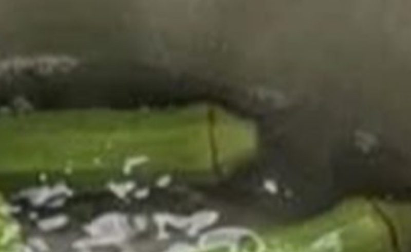 10 amazing health benefits of okra a nutritional powerhouse and how to cook it perfectly