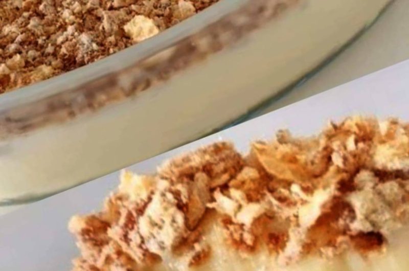 3 ingredient no bake dessert recipe quick easy and delicious