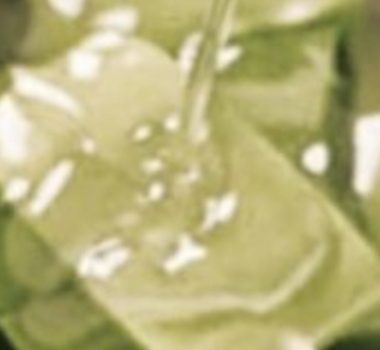 aloe vera and coconut oil regenerating cream unlock radiant skin and hair naturally