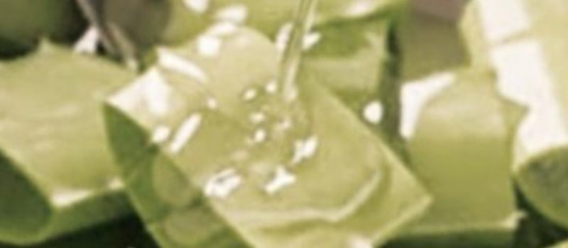 aloe vera and coconut oil regenerating cream unlock radiant skin and hair naturally