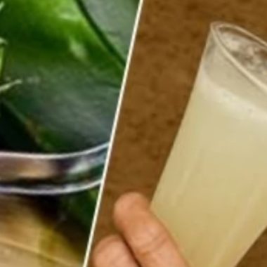 aloe vera wellness recipes natural remedies for health and beauty