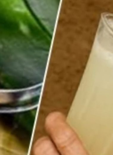 aloe vera wellness recipes natural remedies for health and beauty