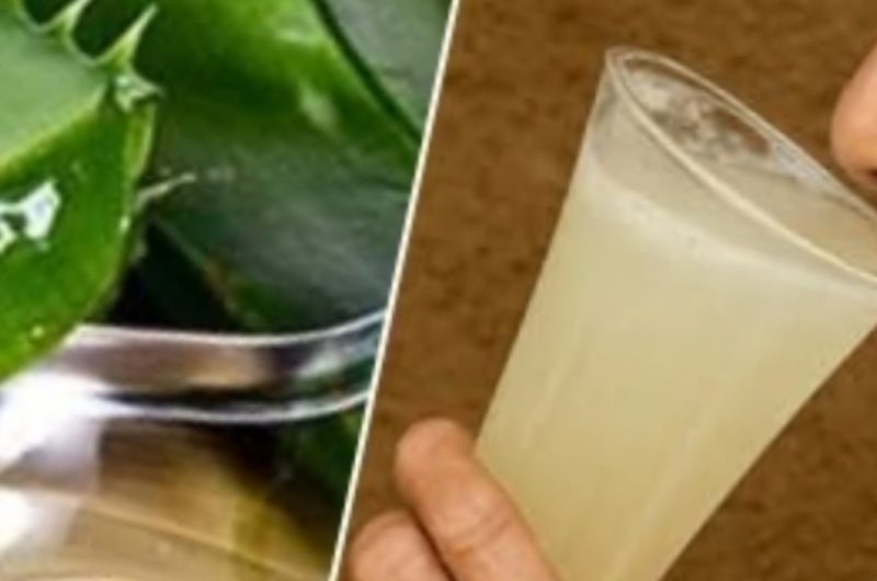 aloe vera wellness recipes natural remedies for health and beauty