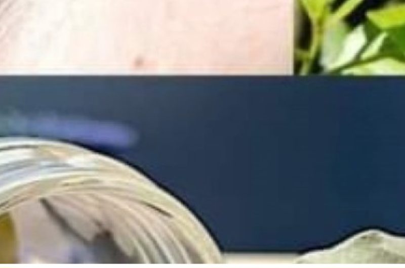 bay leaf hair treatment natural shine strength and color enhancement