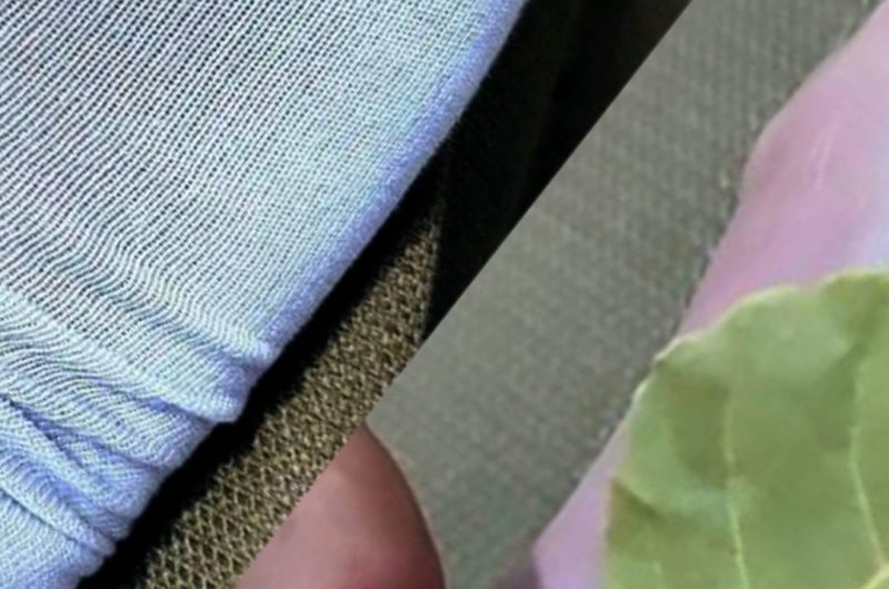 bay leaf socks remedy natural pain relief for joint and foot discomfort