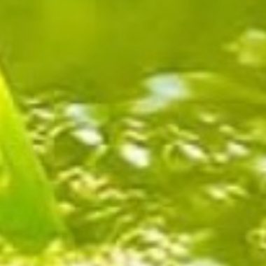 best natural blood thinner teas ginger turmeric green hibiscus and cinnamon recipes for heart health