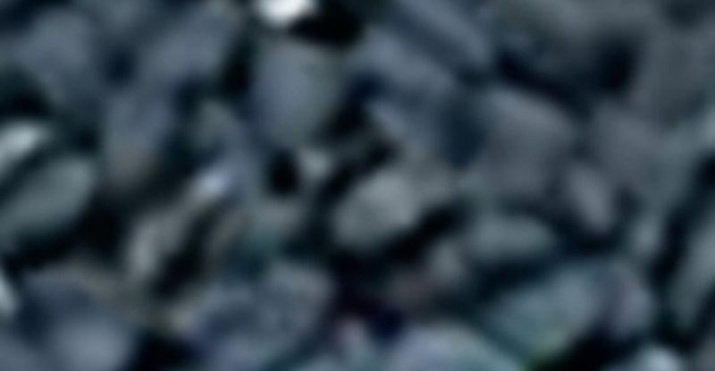 black seed and honey elixir boost immunity heal naturally and fight 200 diseases