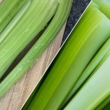 celery liver detox juice a refreshing recipe for optimal liver health