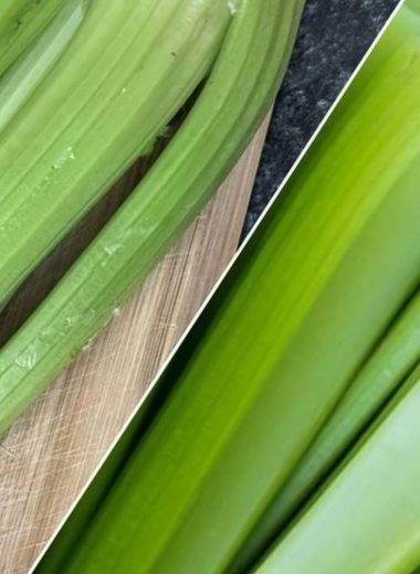 celery liver detox juice a refreshing recipe for optimal liver health