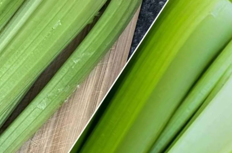 celery liver detox juice a refreshing recipe for optimal liver health