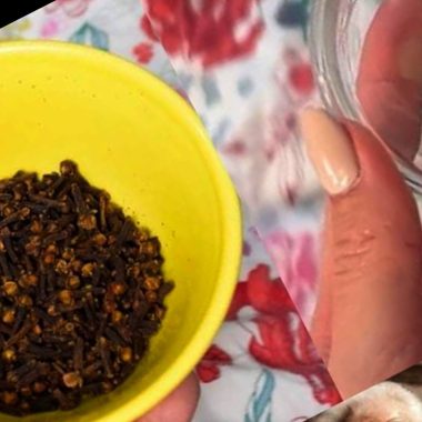 cloves under the bed natural pest repellent sleep enhancer and air purifier