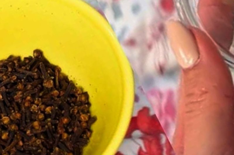 cloves under the bed natural pest repellent sleep enhancer and air purifier