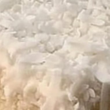 coconut cream dream cake a tropical dessert delight