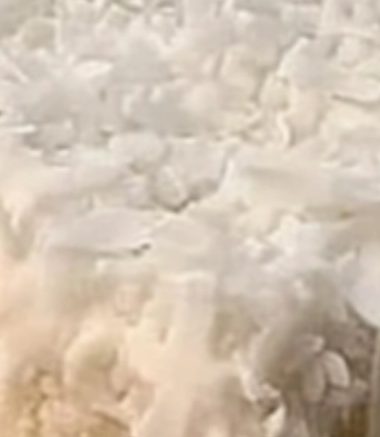 coconut cream dream cake a tropical dessert delight