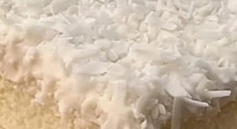 coconut cream dream cake a tropical dessert delight