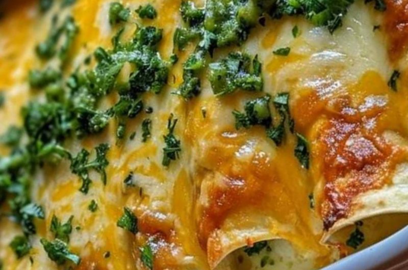 cream cheese chicken enchiladas a heartwarming mexican comfort food recipe