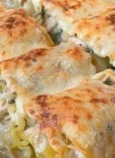 creamy chicken alfredo lasagna rolls a family favorite recipe