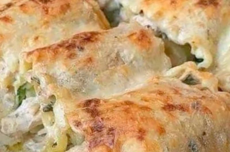 creamy chicken alfredo lasagna rolls a family favorite recipe