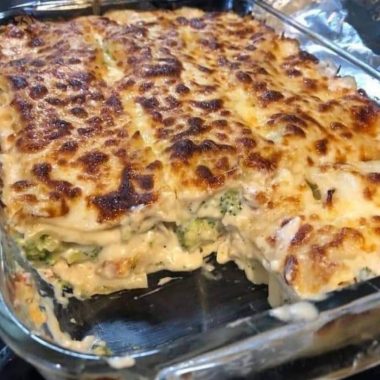 creamy chicken and broccoli lasagna recipe easy cheesy and comforting