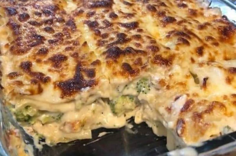 creamy chicken and broccoli lasagna recipe easy cheesy and comforting