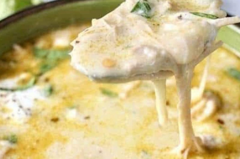 creamy crock pot green enchilada chicken soup recipe easy cheesy and comforting
