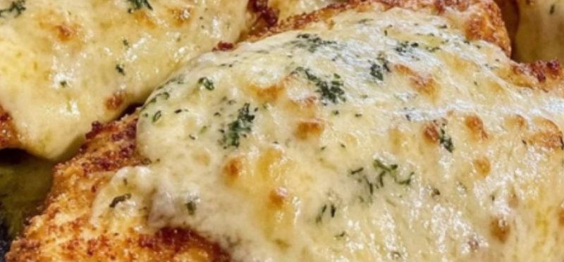 creamy garlic parmesan chicken a gluten free comfort food delight