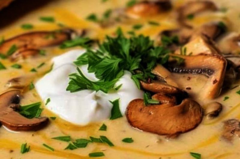 creamy hungarian mushroom soup recipe a heartwarming delight