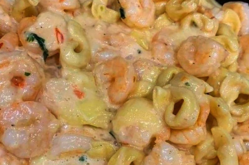 creamy shrimp tortellini alfredo skillet a quick cheesy and family friendly seafood recipe