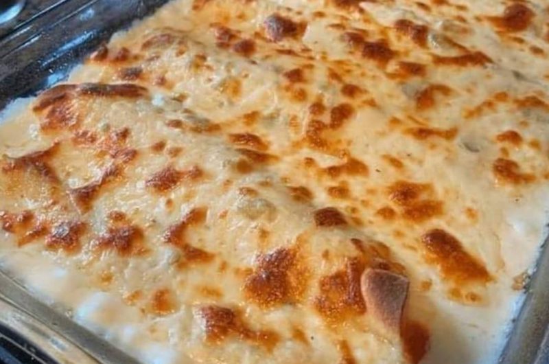 creamy white chicken enchiladas recipe easy cheesy and irresistible