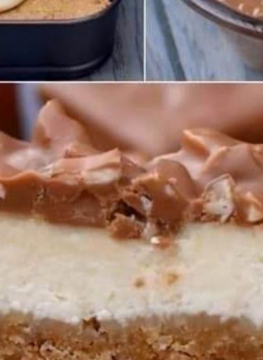 decadent cheesecake bites recipe easy creamy and chocolatey delight