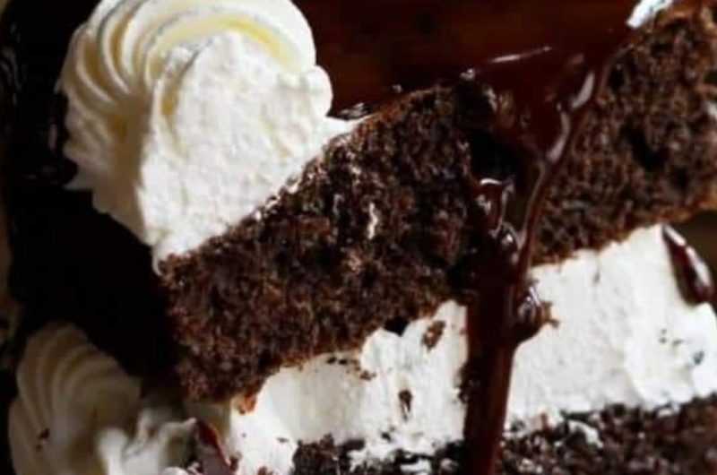 decadent mississippi mud cake recipe ultimate chocolate indulgence 1