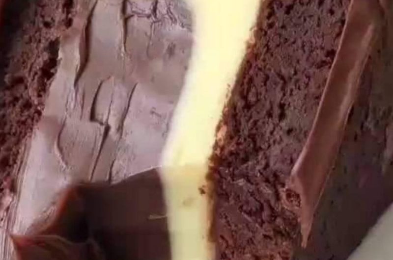 decadent swiss chocolate cake recipe a moist and rich dessert delight