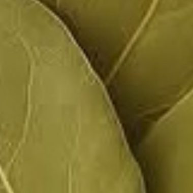 diy bay leaf facial toner natural skincare recipe for glowing skin