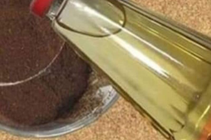 diy coffee and apple cider vinegar face mask natural skincare for glowing skin