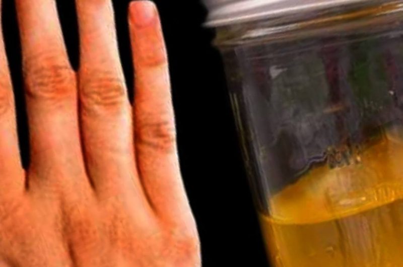 diy natural skin elixir carrot bay leaf and orange zest blend for radiant youthful skin