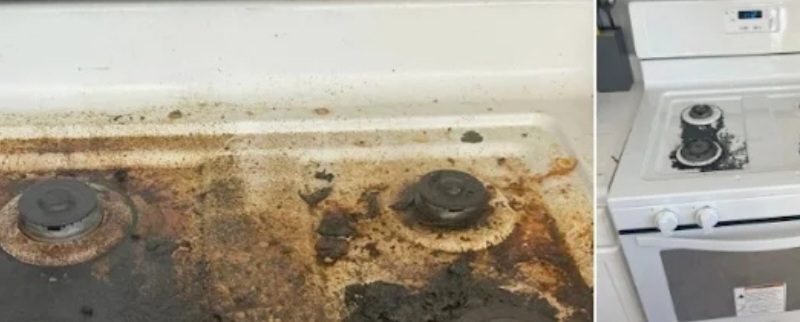 diy natural stovetop cleaner sparkling results without harsh chemicals