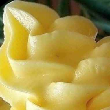dole whip pineapple cream recipe a refreshing tropical dessert