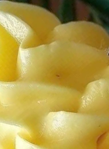 dole whip pineapple cream recipe a refreshing tropical dessert