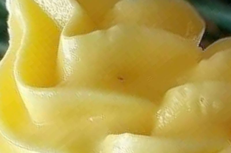 dole whip pineapple cream recipe a refreshing tropical dessert