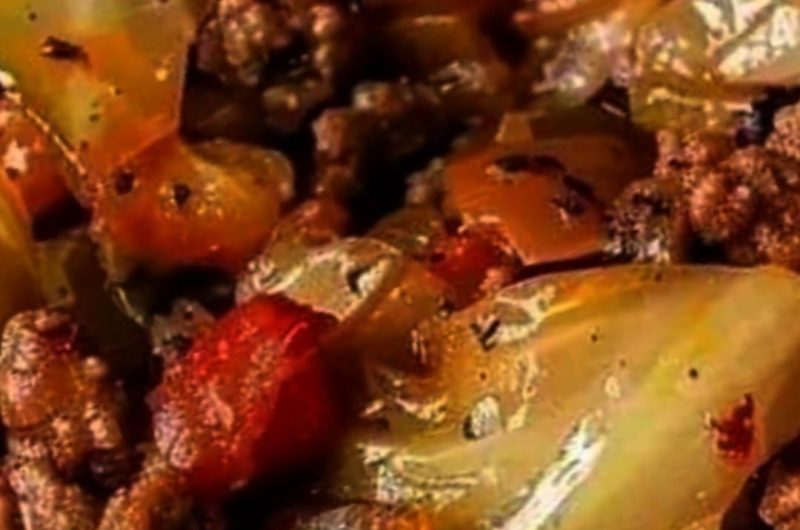 easy and flavorful cabbage and minced meat recipe a hearty one pan meal