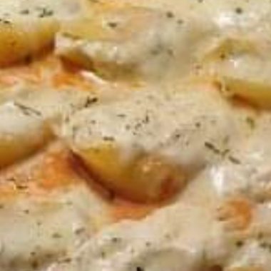 easy baked stuffed cheese shells recipe creamy cheesy and irresistible
