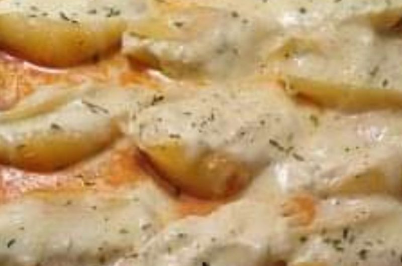 easy baked stuffed cheese shells recipe creamy cheesy and irresistible