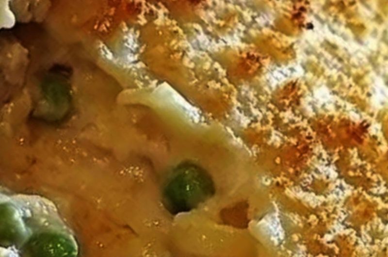 easy hashbrown chicken casserole recipe comfort food at its best