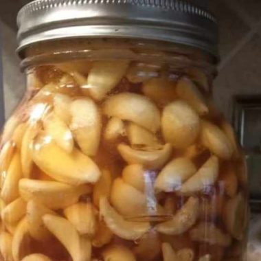 fermented garlic in honey a sweet immune boosting elixir with safety tips