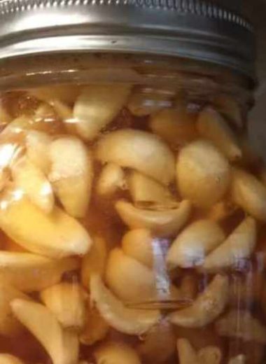 fermented garlic in honey a sweet immune boosting elixir with safety tips