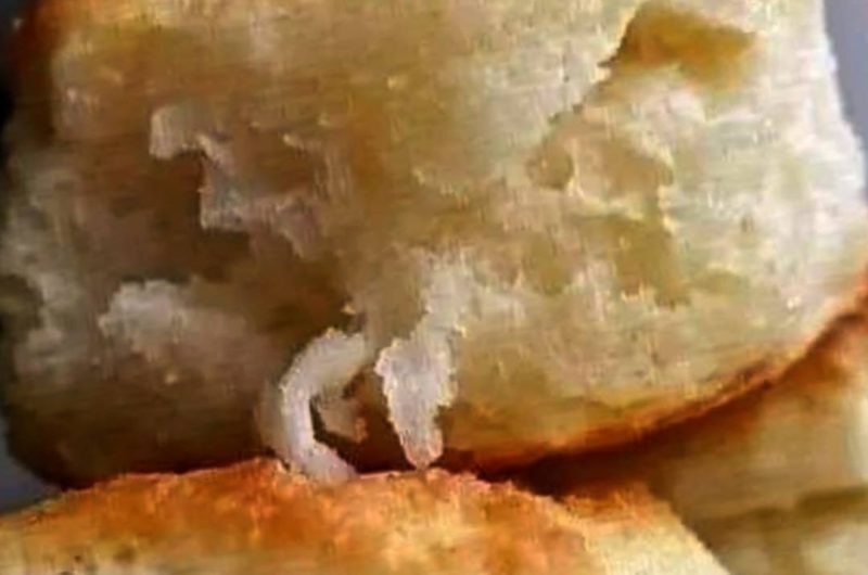 flaky butter buttermilk biscuits easy homemade recipe for golden tender biscuits