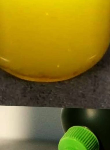 forever young elixir slow aging with olive oil lemon juice and honey recipe