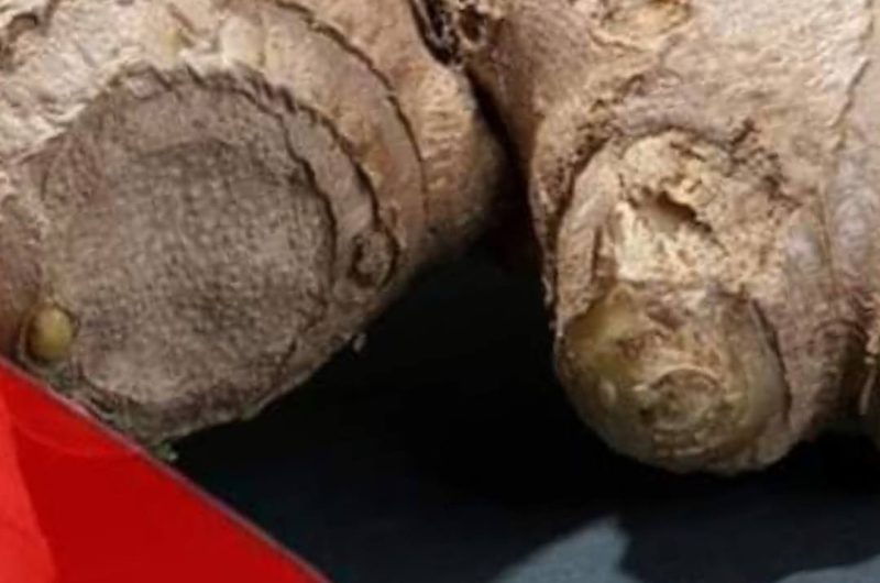 ginger health guide when to use with caution and safe alternatives