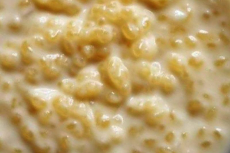 grandmas classic tapioca pudding recipe creamy easy and nostalgic 1