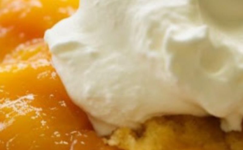 grandmas lost tennessee peach pudding recipe a southern summer delight